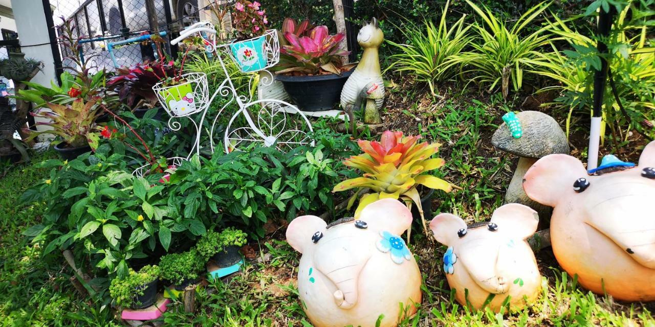 บ้านปลายฝัน Baanplaifun Ban Huai Phai Exterior foto
